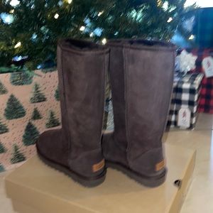 UGG BOOTS (NEVER WORN)